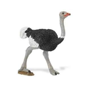  Wild Safari Wildlife: Ostrich: Toys & Games