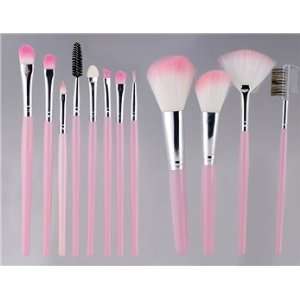  Pink MAC Professional 12 Pc. Cosmetic brush set with pouch 
