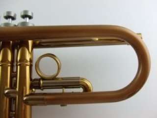 Taylor Chicago Jazz Trumpet in Lacquer   NEW  