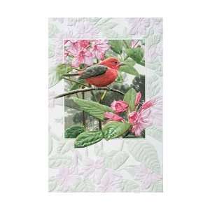   Tanager Bday   Everyday Greeting Cards. Pack of 6: Everything Else