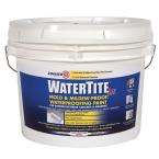    Watertite 3 Gal. Latex Concrete and Masonary Waterproofer 