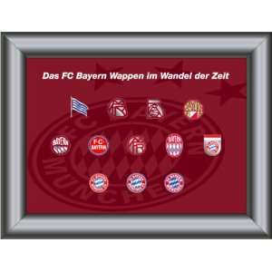 FC Bayern München Pin Kollektion Wappen Im Wandel der Zeit  