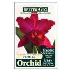 Red Cattleya Packaged Orchid