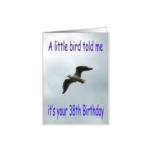  Happy 38th Birthday Flying Seagull bird Card: Toys & Games