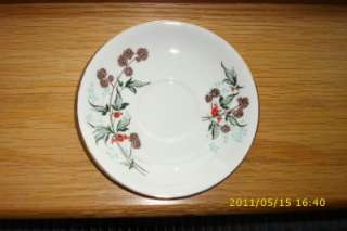 Windsor Bone China Saucer Mixed Leaves & Red Berry VGC  