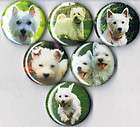 west highland terrier 6 pins buttons badges westy puppy location 