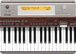   Size Keys and Grand Piano Touch (Stand Included) Musical Instruments