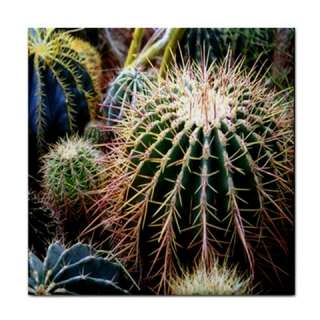 Arizona Desert Cactus Plants Ceramic Tile  