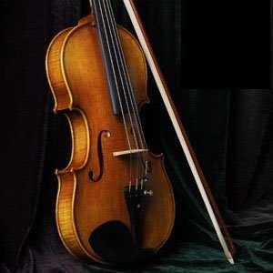   PRO Concert TOP Level Maple Violin w/ Bow Rosin Case 