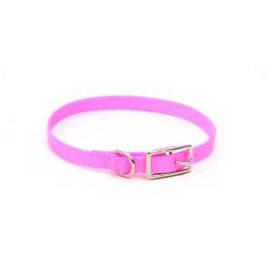  Dog Collar Nylon   12 in. Pink with a Width of 5/8 in 