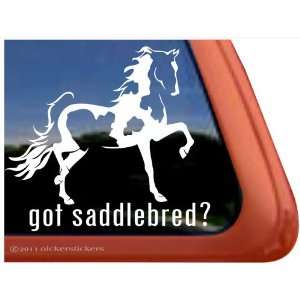   Pinto Saddlebred Horse Trailer Vinyl Window Decal Sticker: Automotive