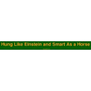   Hung Like Einstein and Smart As a Horse MINIATURE Sticker Automotive