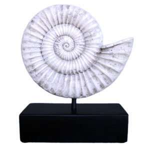 Nautilus Sea Shell on Stand Table Topper Center Piece Nautical 