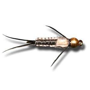  BH Woven Stonefly Nymph   Black Fly Fishing Fly Sports 