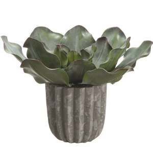  8.5 EVA Cabbage Succulent Silk Plant w/Cement Pot (case 